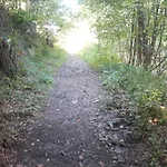 דירה Am Alten Fachwerk מונשאו