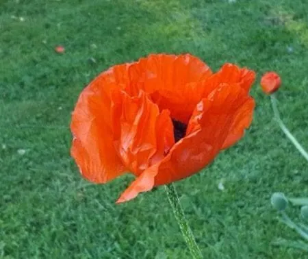 شقة Am Alten Fachwerk مونشاو