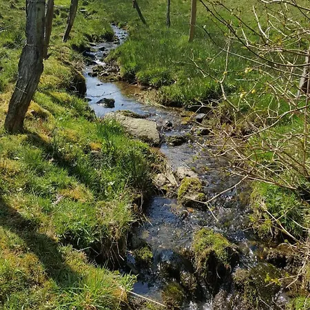Am Alten Fachwerk شقة *