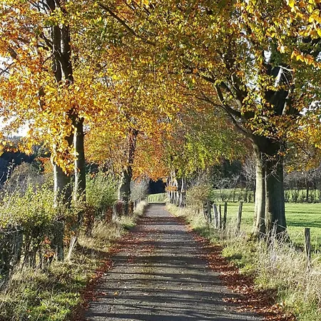 Am Alten Fachwerk مونشاو