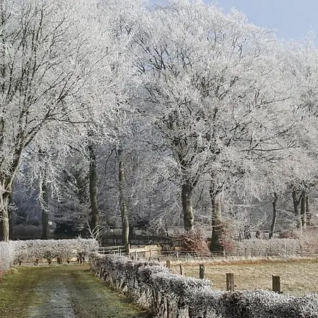 Am Alten Fachwerk * مونشاو