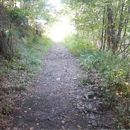 شقة Am Alten Fachwerk مونشاو