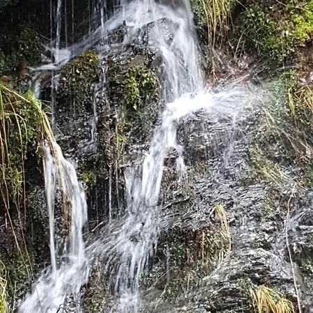 شقة Am Alten Fachwerk