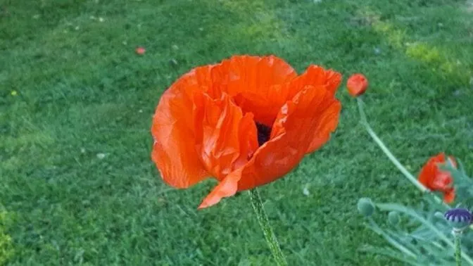 Appartement Am Alten Fachwerk Monschau
