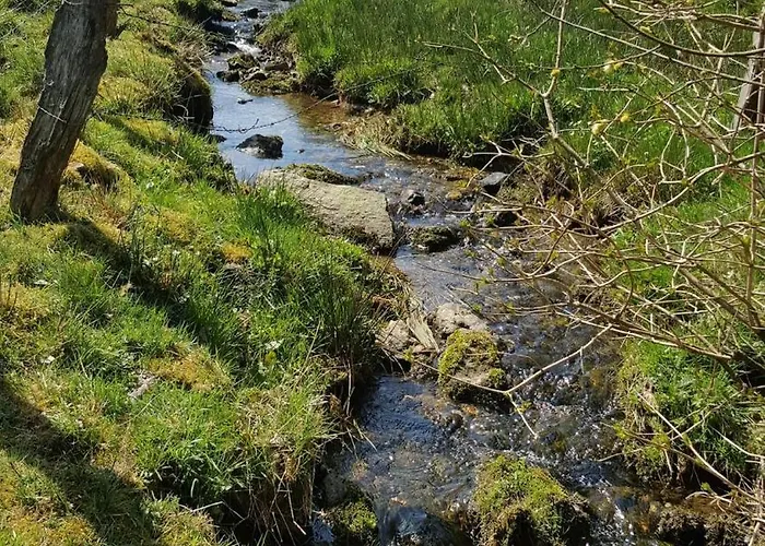 Am Alten Fachwerk Appartement *