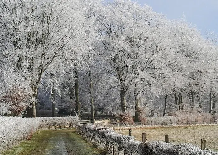 Am Alten Fachwerk * Monschau