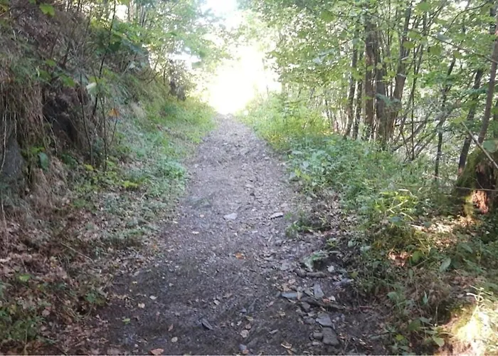 Appartement Am Alten Fachwerk Monschau