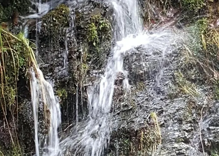 Lägenhet Am Alten Fachwerk